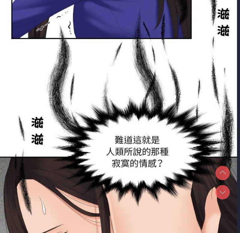 我的完美娃娃/我的专属娃娃