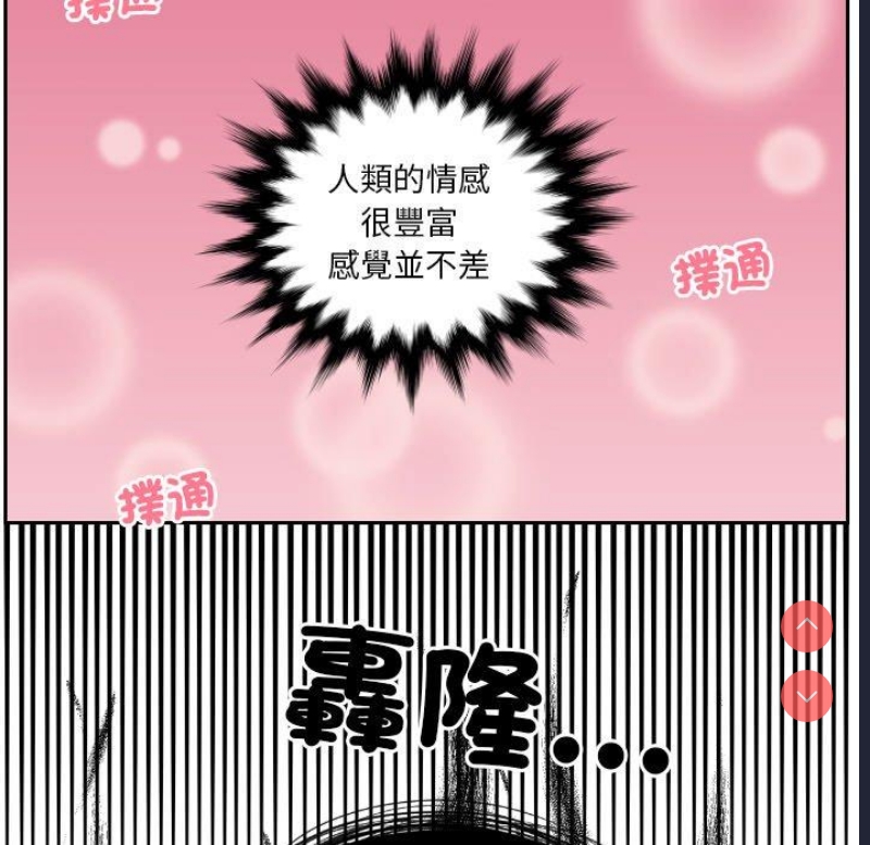 我的完美娃娃/我的专属娃娃
