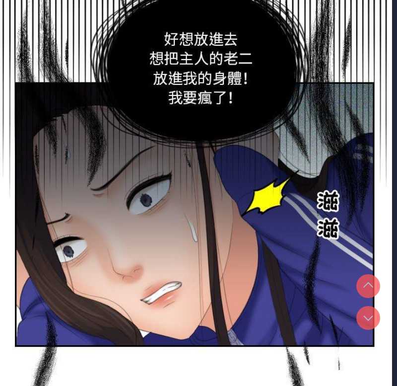我的完美娃娃/我的专属娃娃