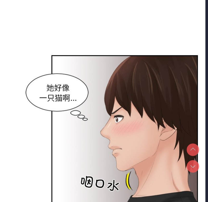 我的完美娃娃/我的专属娃娃