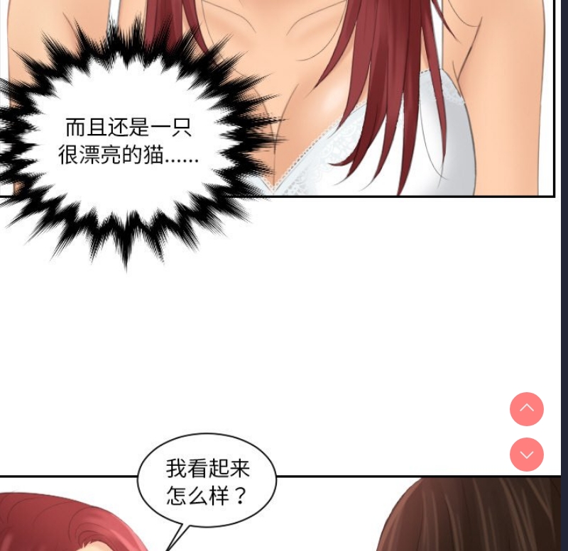 我的完美娃娃/我的专属娃娃