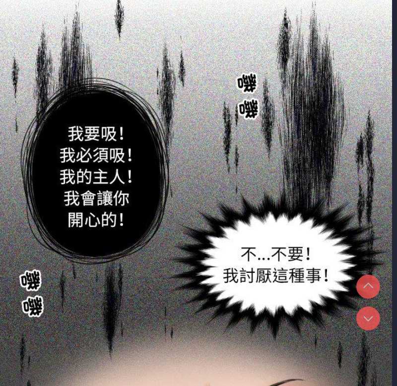 我的完美娃娃/我的专属娃娃
