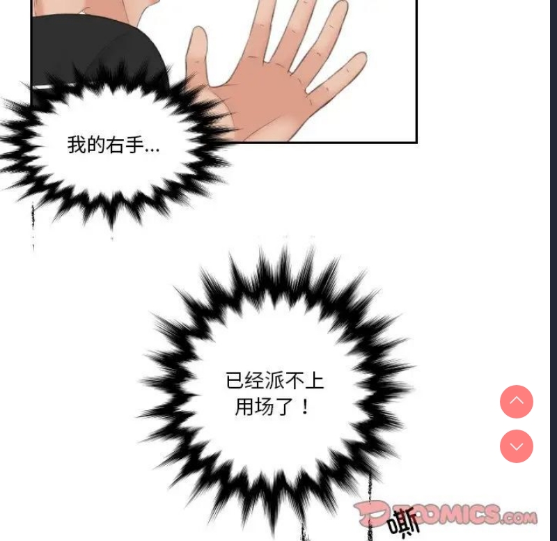 我的完美娃娃/我的专属娃娃