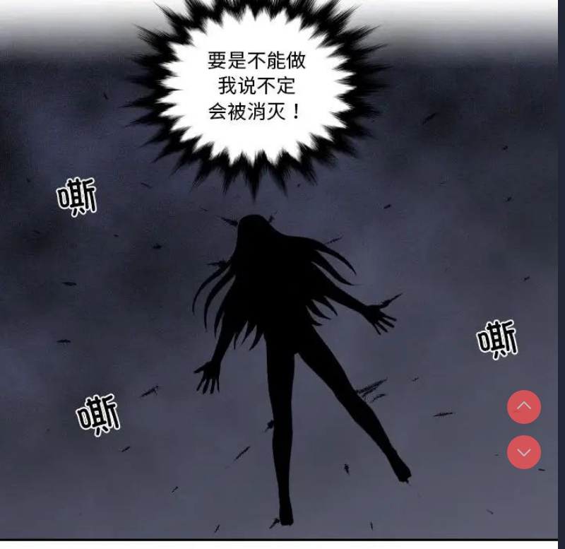 我的完美娃娃/我的专属娃娃