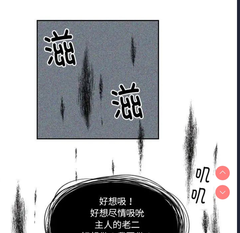 我的完美娃娃/我的专属娃娃