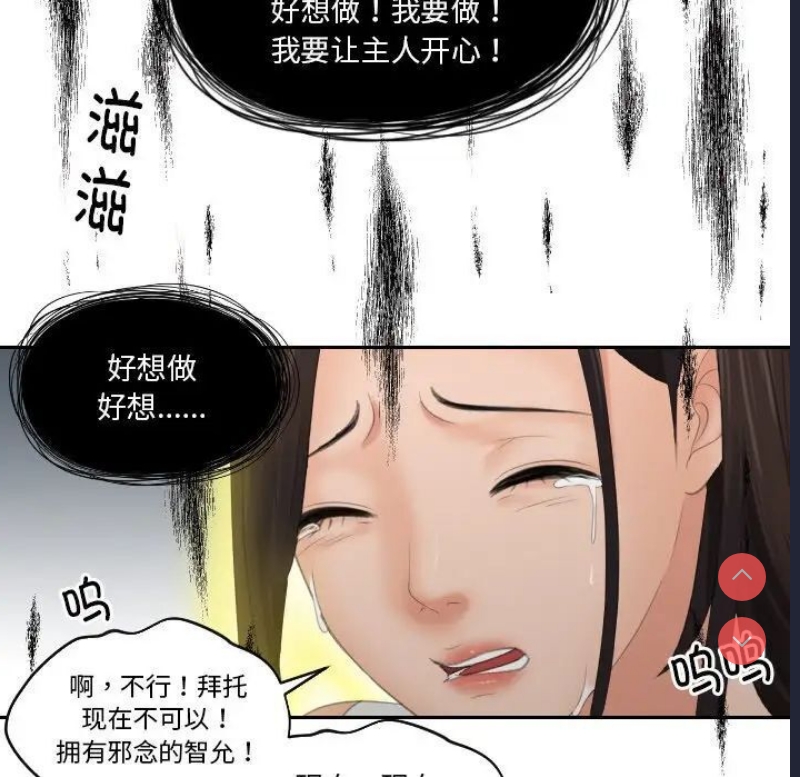 我的完美娃娃/我的专属娃娃