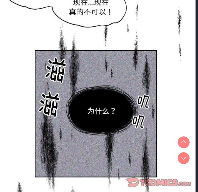 我的完美娃娃/我的专属娃娃