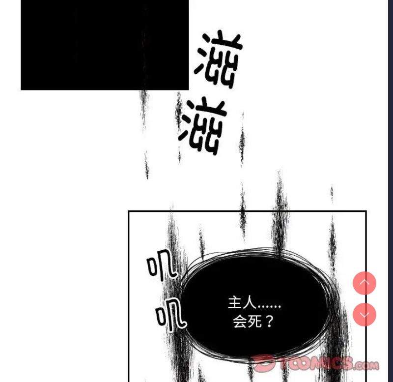 我的完美娃娃/我的专属娃娃