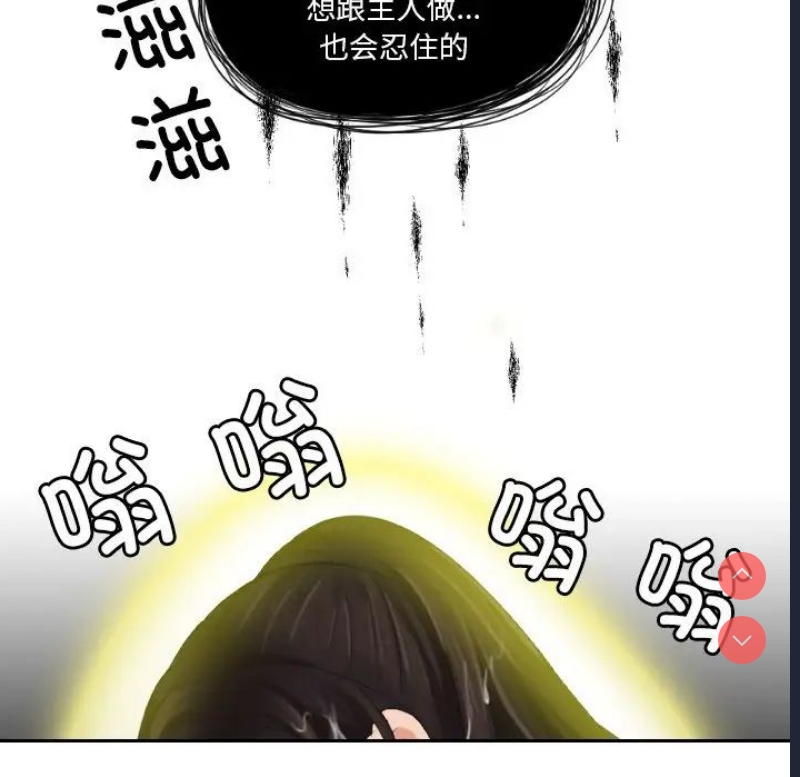 我的完美娃娃/我的专属娃娃