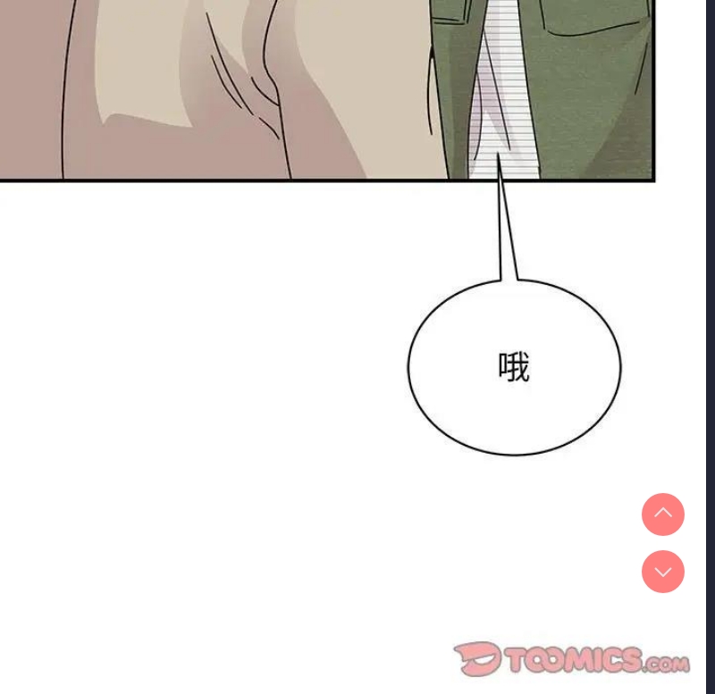 我的完美娃娃/我的专属娃娃