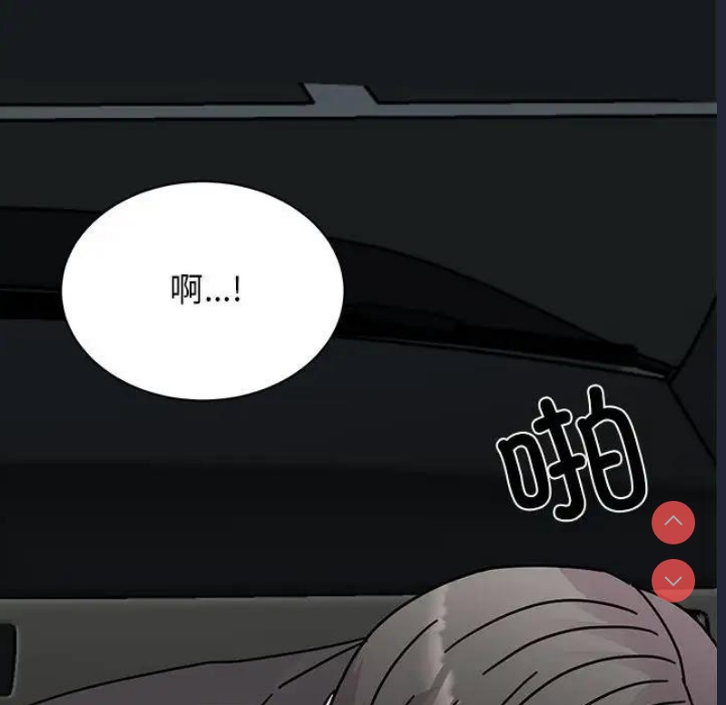 我的完美娃娃/我的专属娃娃