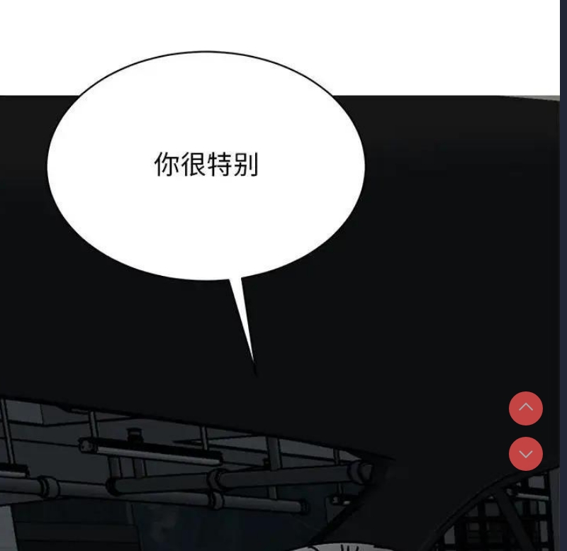 我的完美娃娃/我的专属娃娃