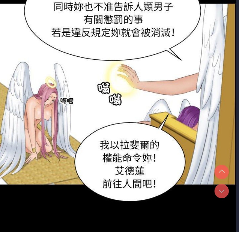 我的完美娃娃/我的专属娃娃