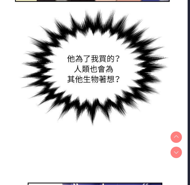 我的完美娃娃/我的专属娃娃