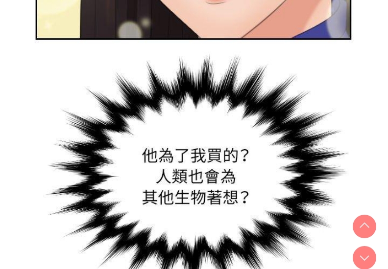我的完美娃娃/我的专属娃娃