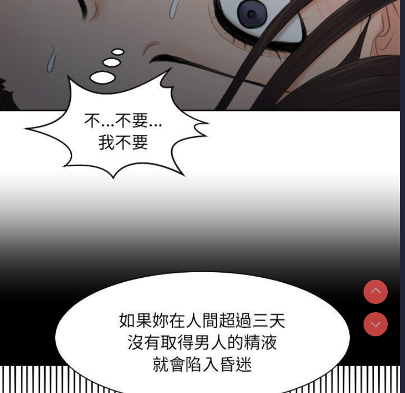 我的完美娃娃/我的专属娃娃
