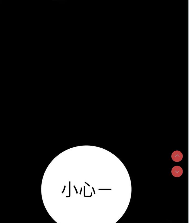 掠夺行动
