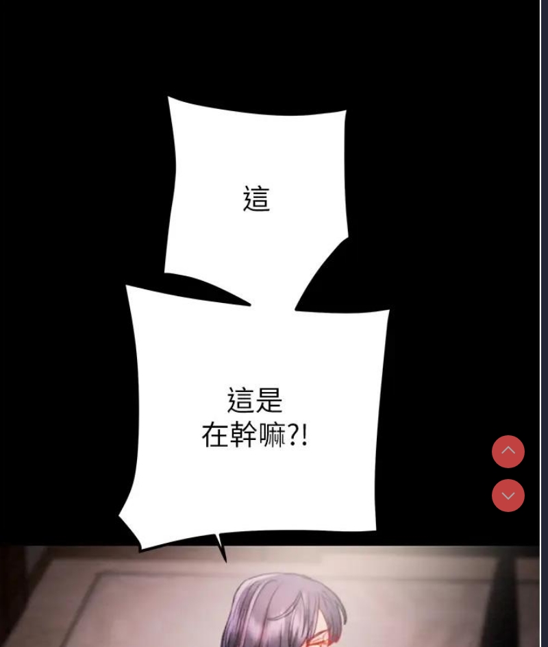 掠夺行动
