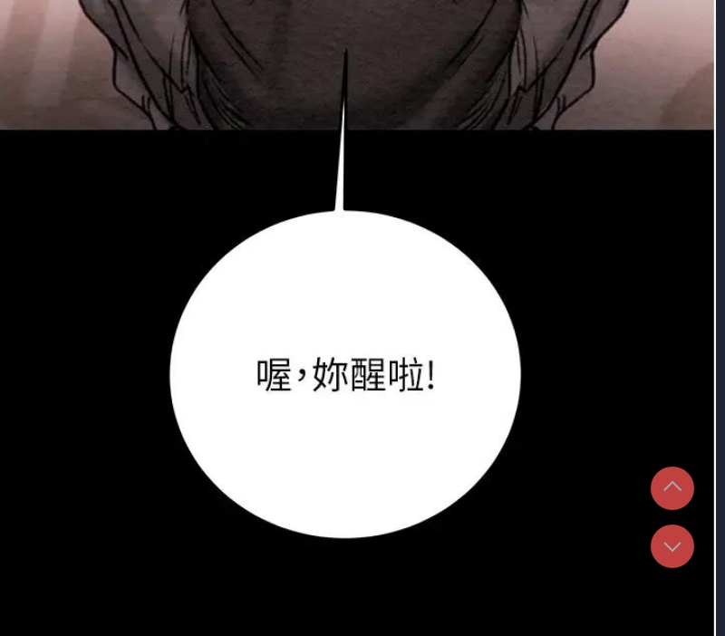 掠夺行动
