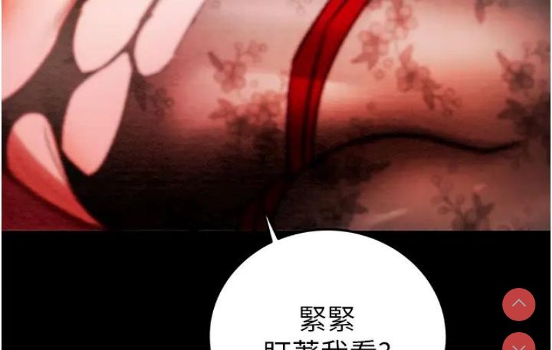 掠夺行动