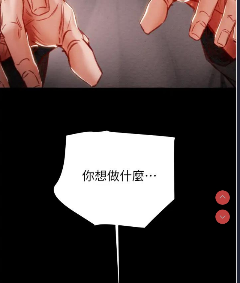 掠夺行动