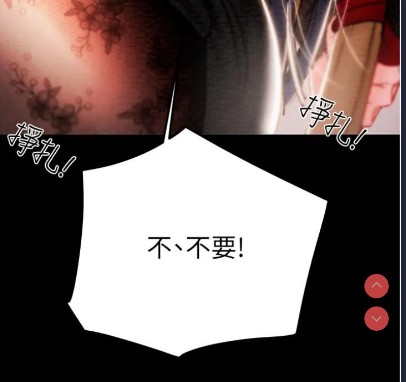 掠夺行动