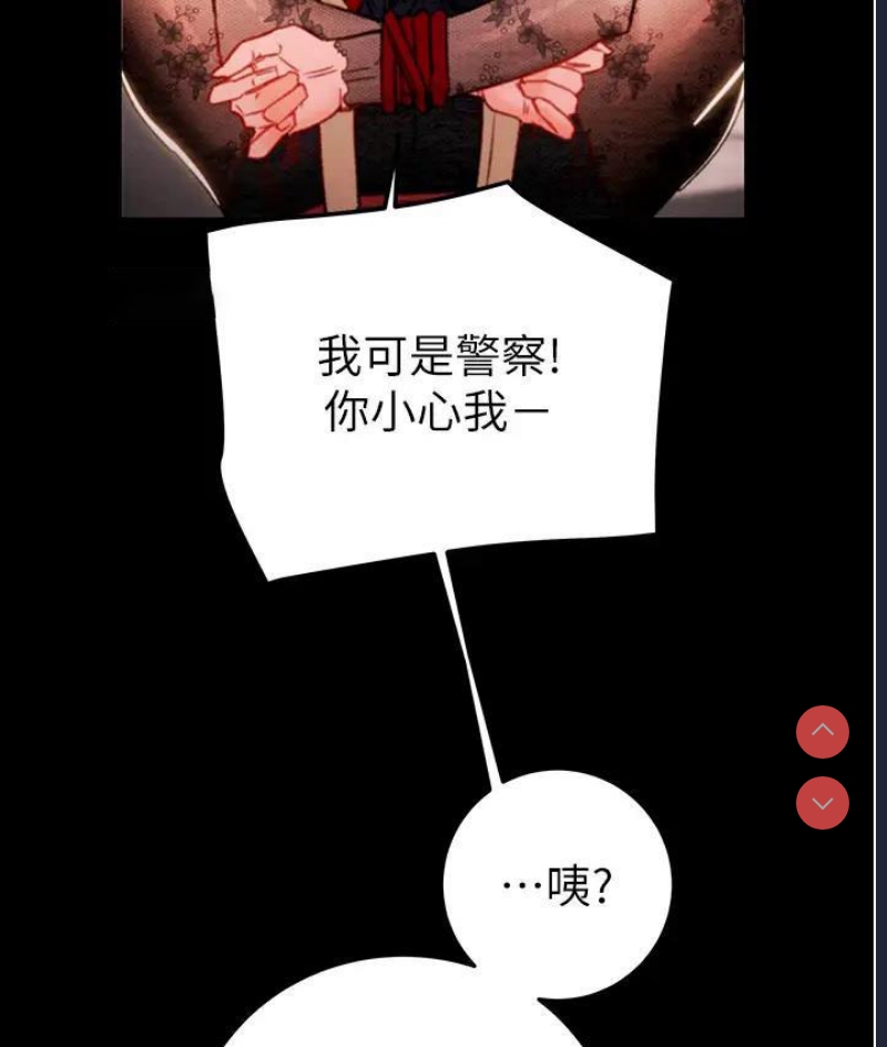 掠夺行动