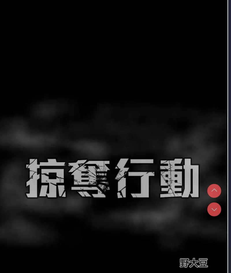 掠夺行动