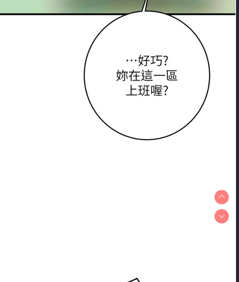 掠夺行动