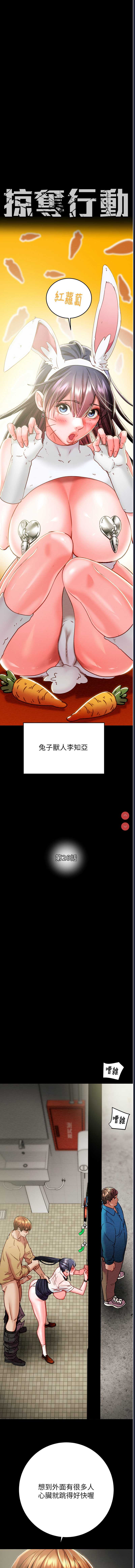 掠夺行动
