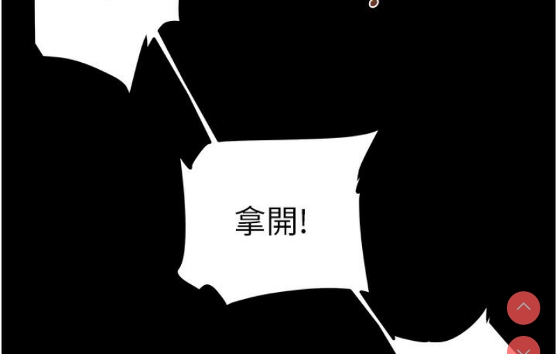 掠夺行动