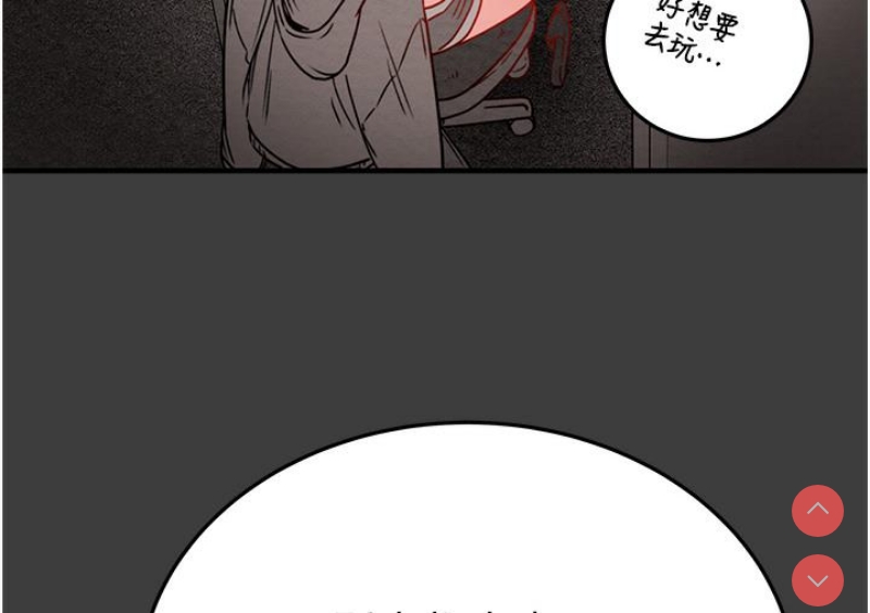 掠夺行动