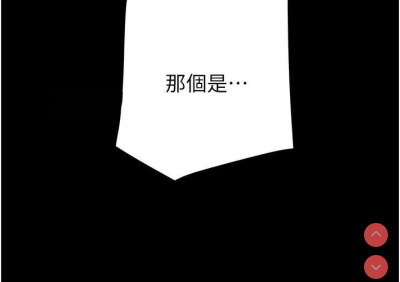 掠夺行动