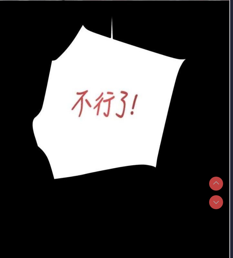 掠夺行动