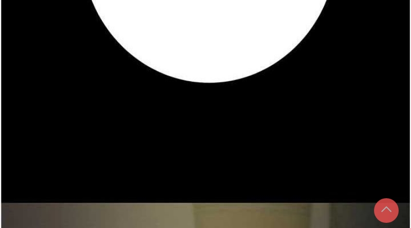 掠夺行动