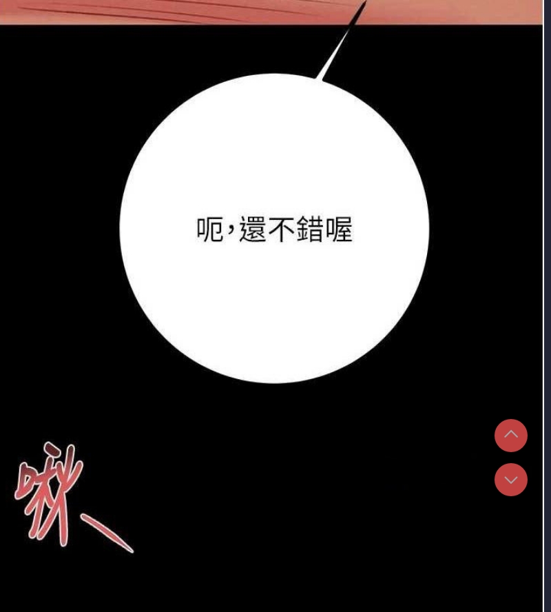 掠夺行动