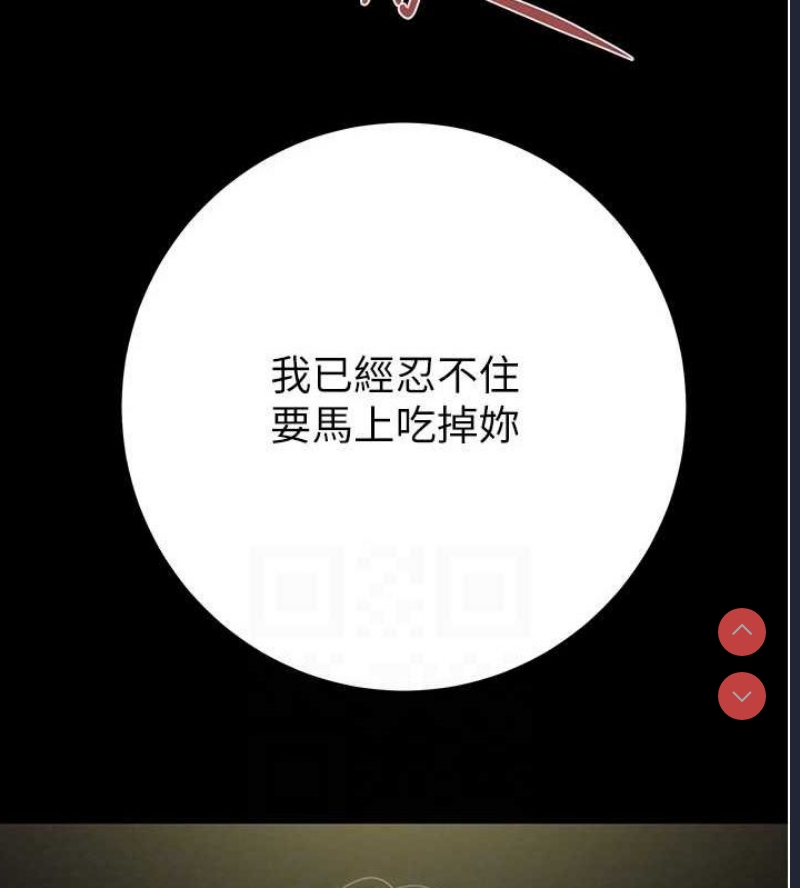 掠夺行动