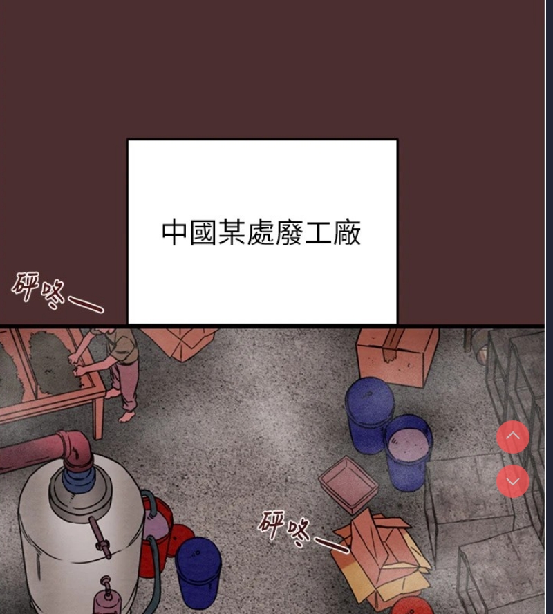 掠夺行动