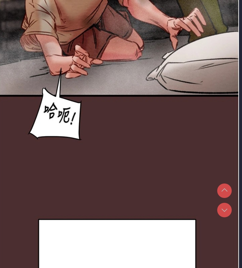 掠夺行动