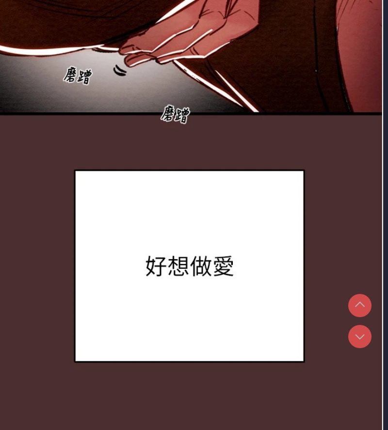 掠夺行动