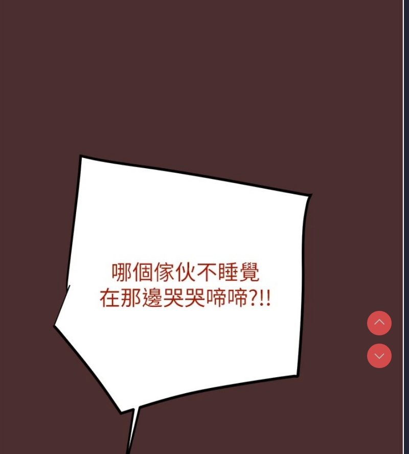 掠夺行动