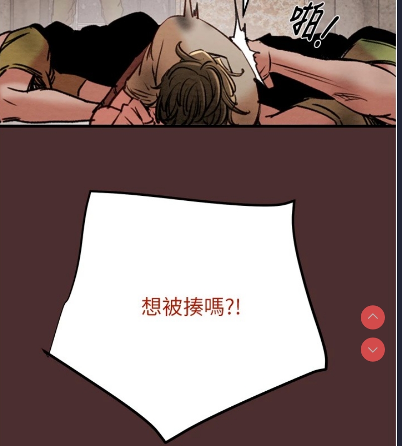 掠夺行动