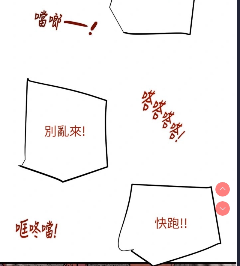 掠夺行动