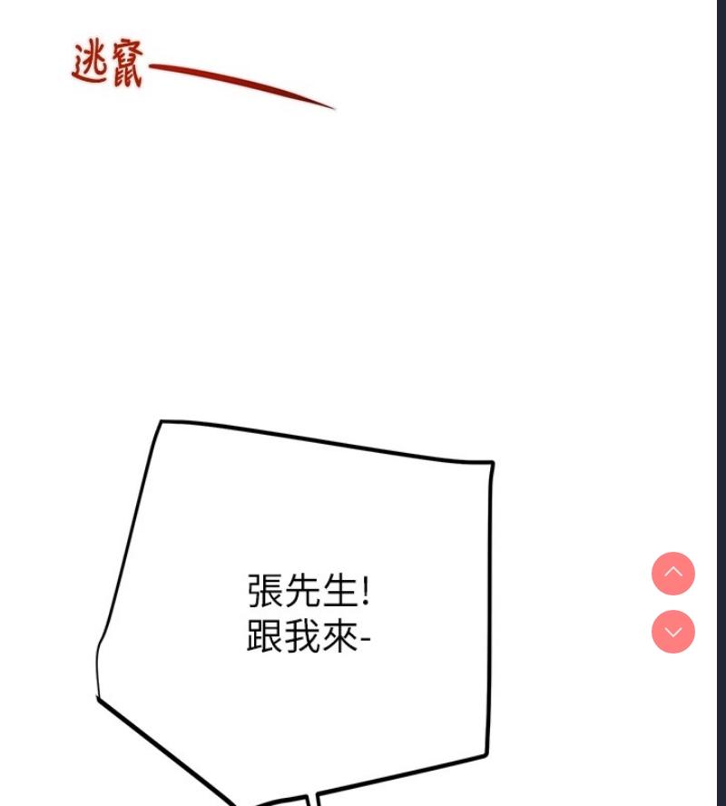 掠夺行动