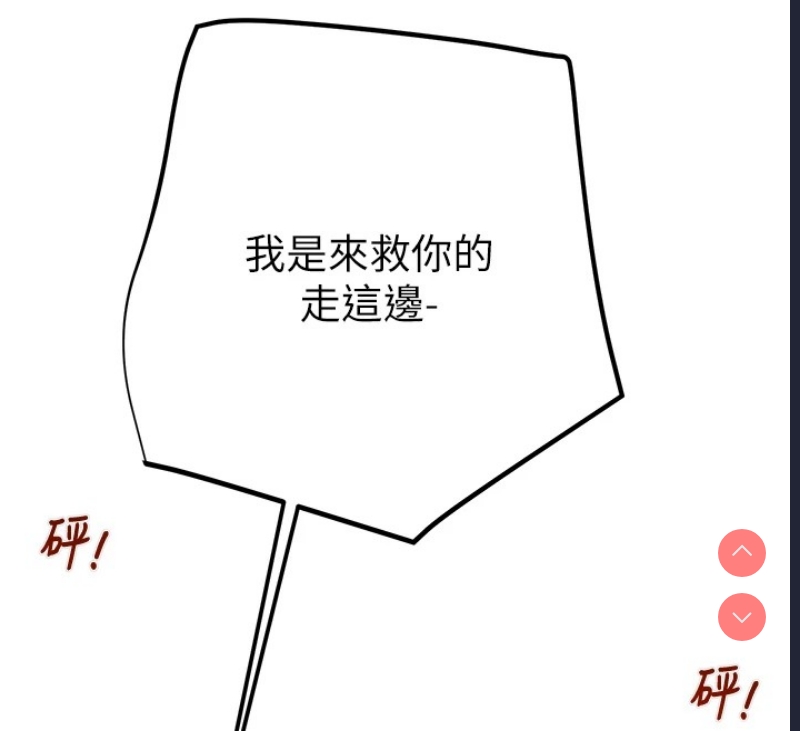 掠夺行动