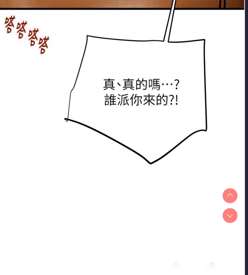 掠夺行动