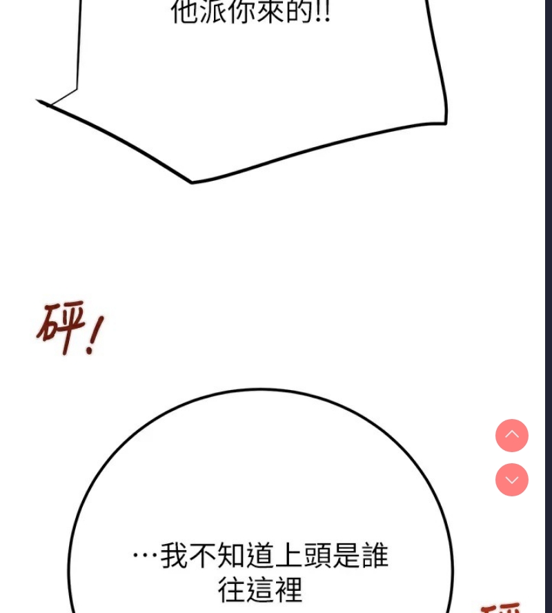 掠夺行动