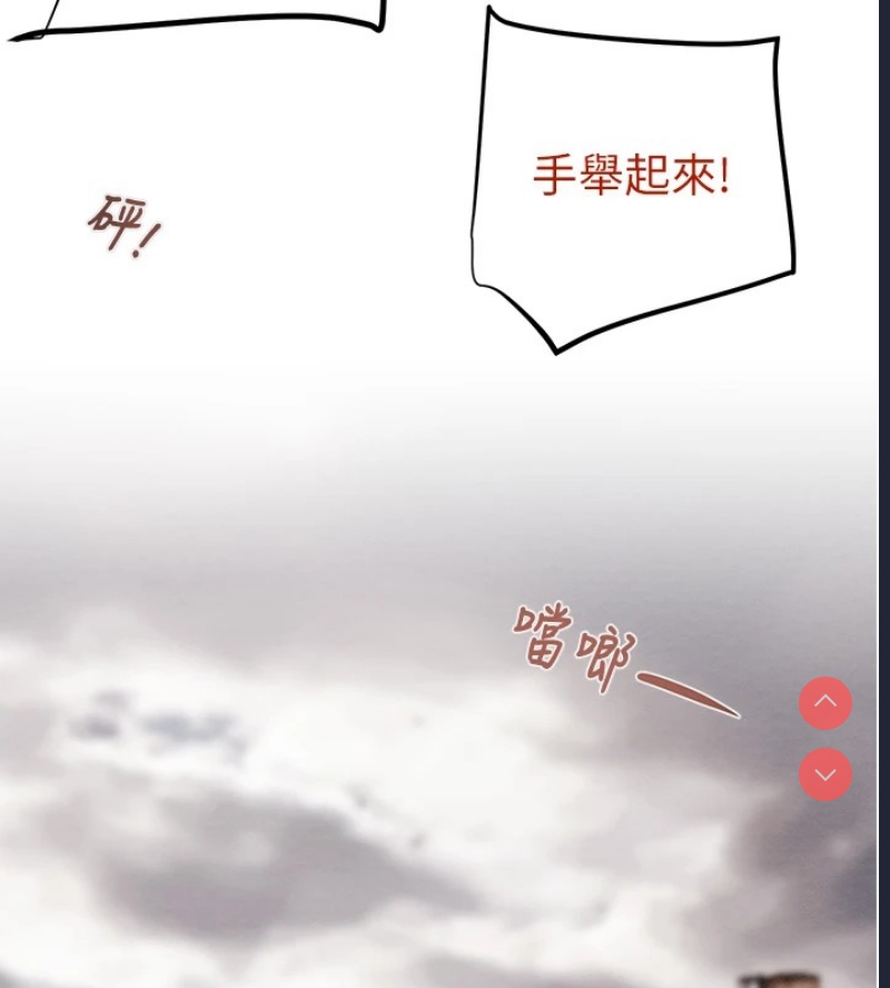 掠夺行动