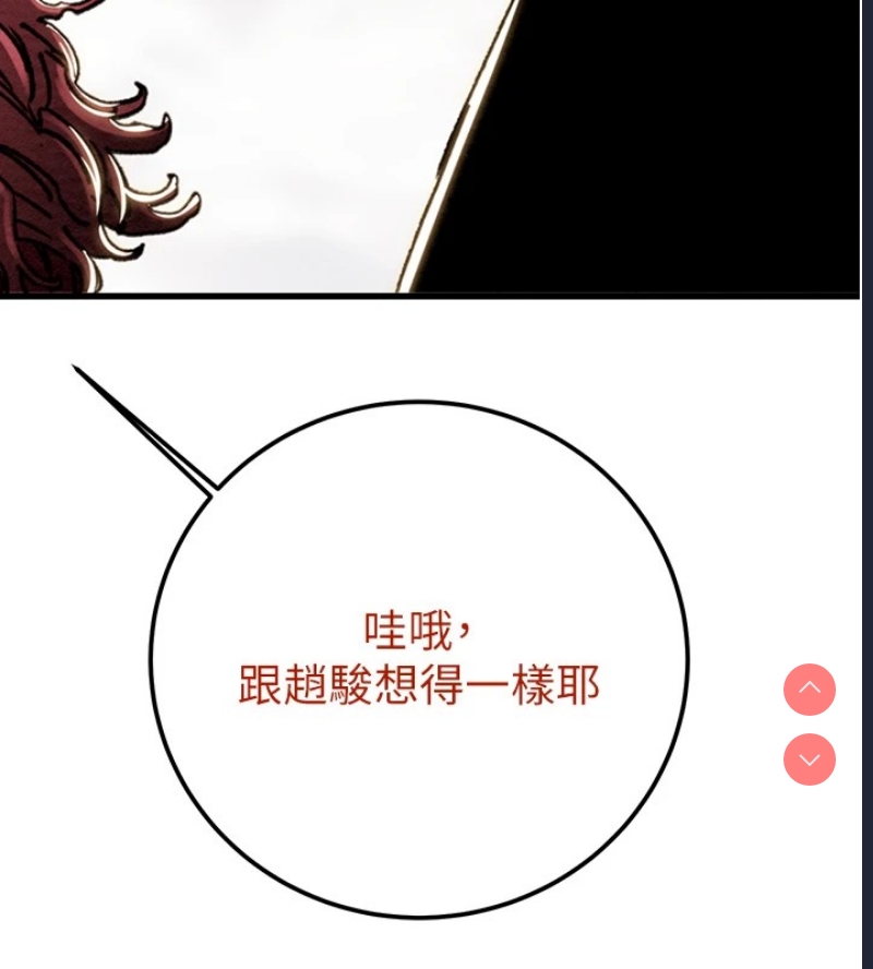 掠夺行动