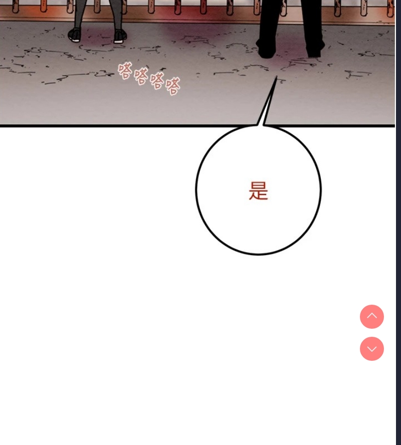 掠夺行动